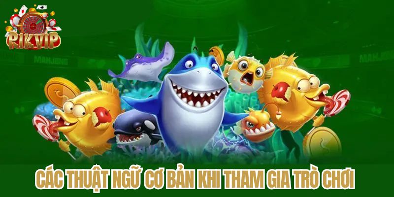 Các thuật ngữ cơ bản khi tham gia trò chơi